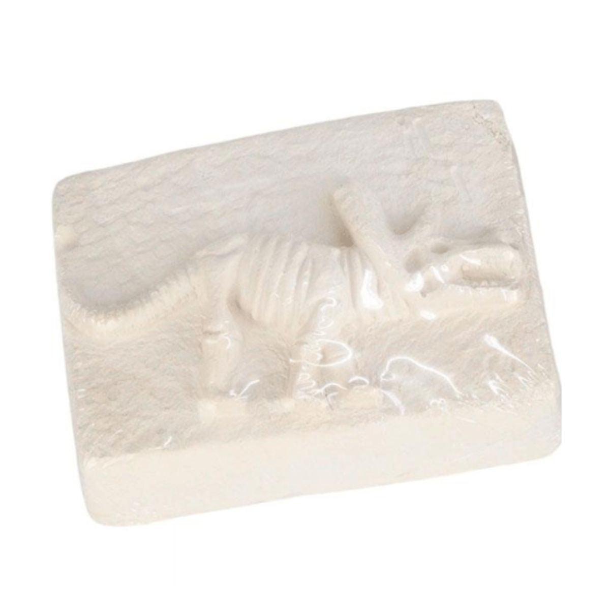 Brinquedo Kit Arqueologia Dinossauro Dino Fóssil Escavação