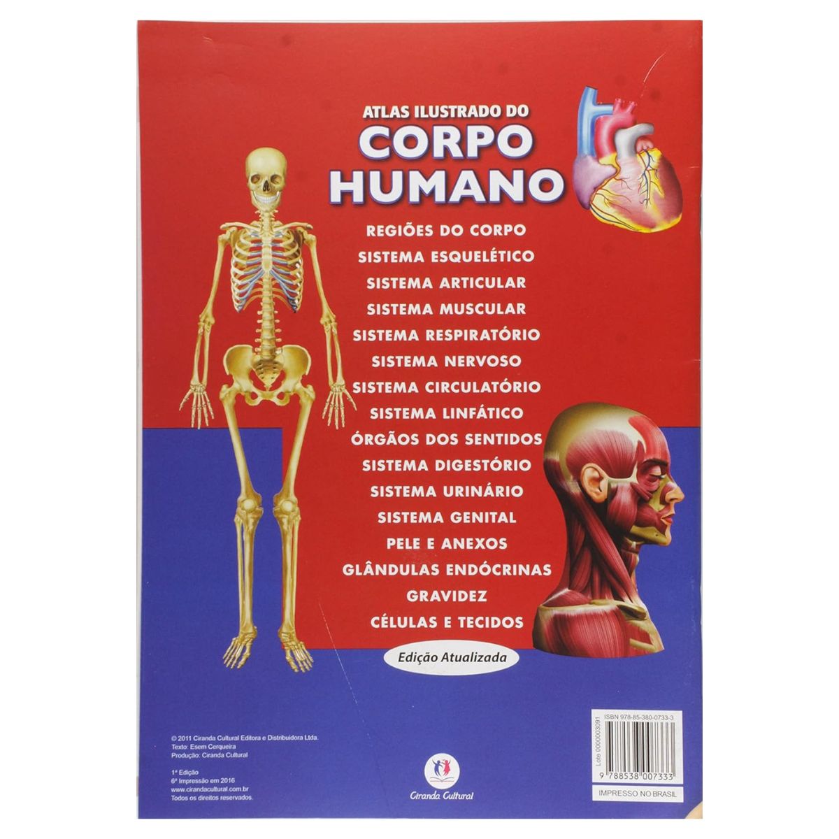 Livro Atlas Ilustrado do Corpo Humano - Ciranda Cultural