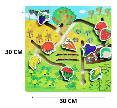 Didáticos Aprenda Brincando Frutas E Legumes - Dm Toys