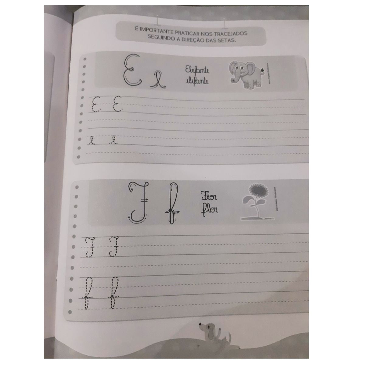 Livro Infantil Apoio Escolar: Caligrafia Divertida / Letra Cursiva - Ciranda Cultural