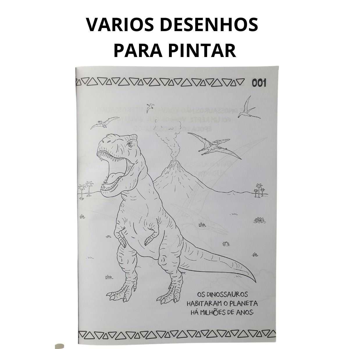 Livro Infantil 101 Primeiros Desenhos Dinossauro