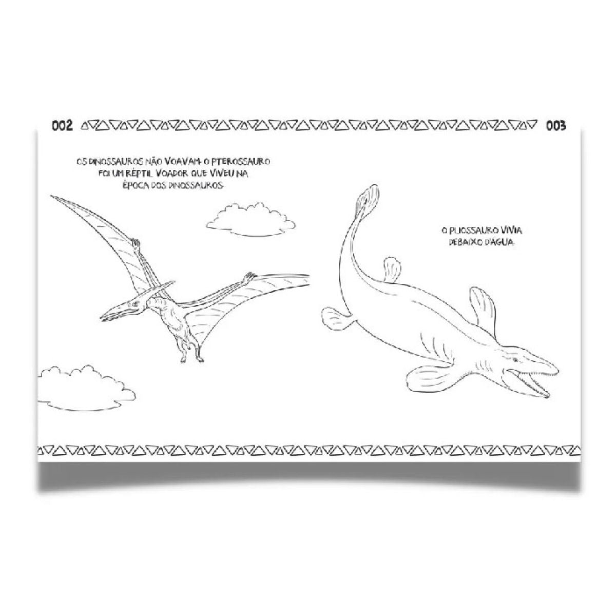 Kit 2 Livros Infantil: Lousa Magnética Dinossauros + 101 Primeiros Desenhos Dinossauros - Ciranda Cultural