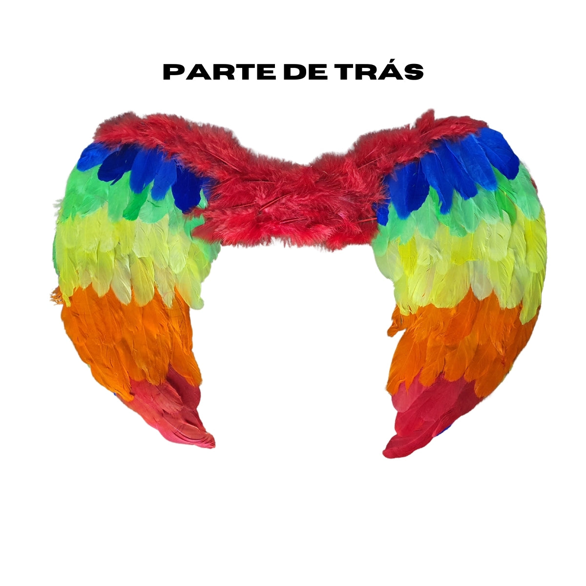 Asa de Anjo Colorida - Fantasia - Kriat