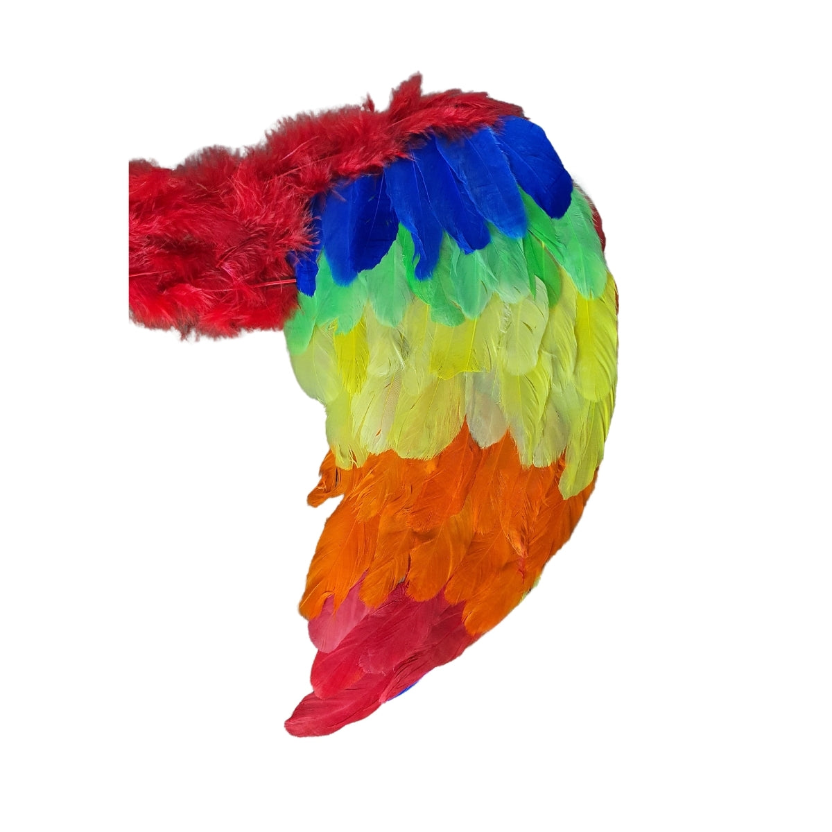 Asa de Anjo Colorida - Fantasia - Kriat